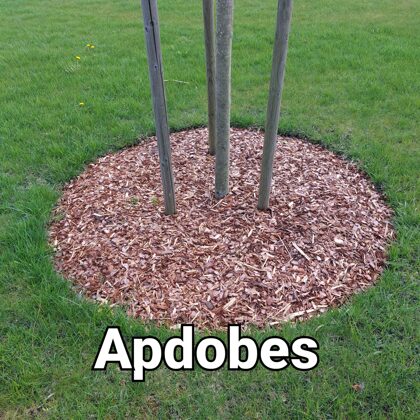 Apdobes