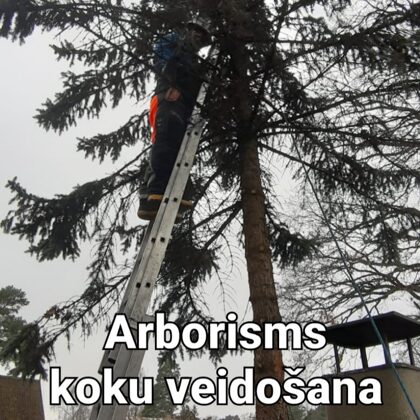 Koku ciršana & arboristi