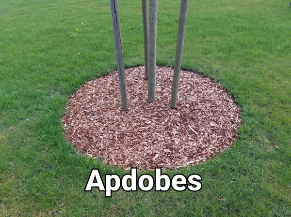 Apdobes