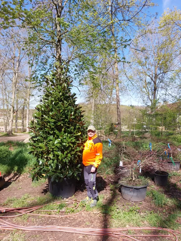 Aivars Zvidris  Gardener – horticulture specialist, landscape design and technical mainten