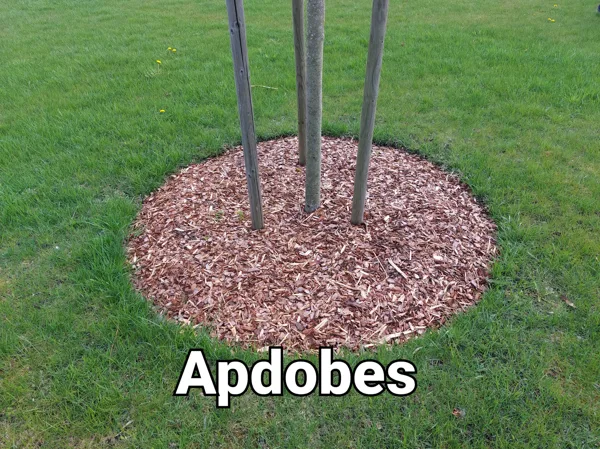 Apdobes